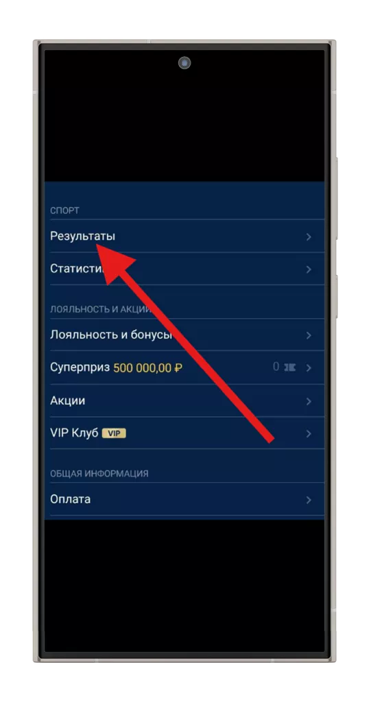 Выбор опции «Результаты»